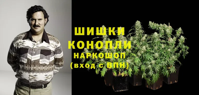 Бошки марихуана THC 21%  Ишимбай 